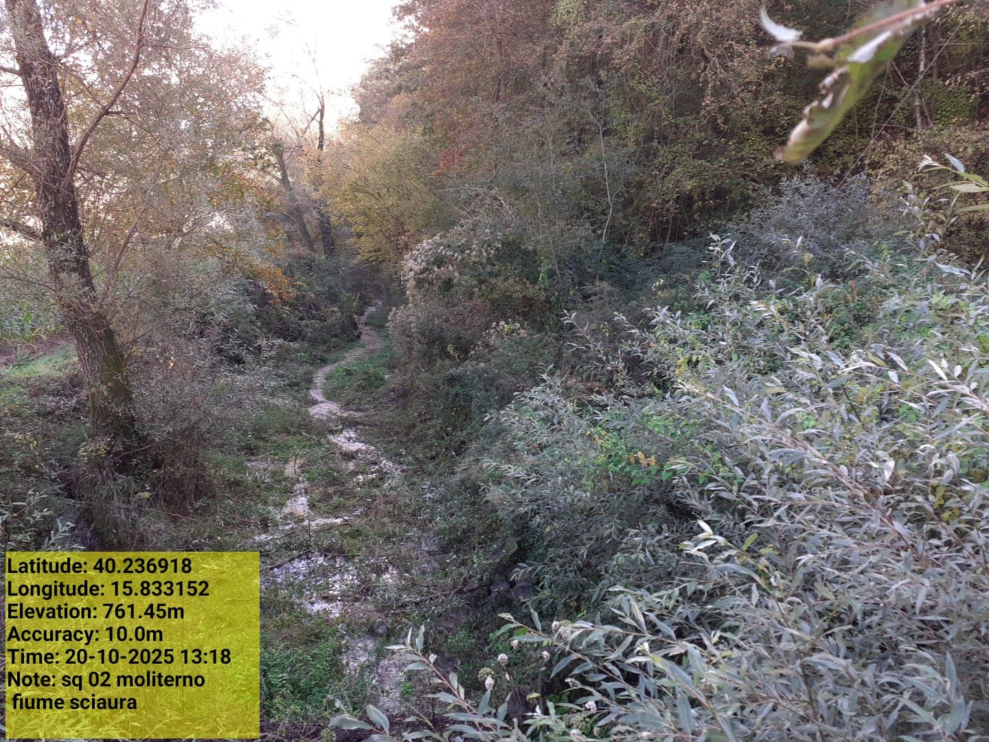 Galleria Fotografica Immagine