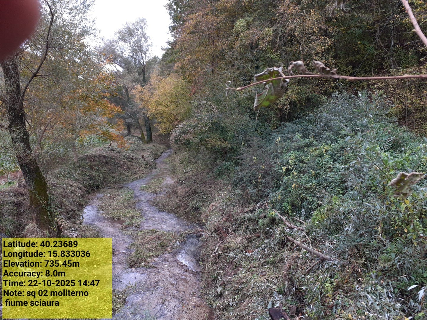 Galleria Fotografica Immagine