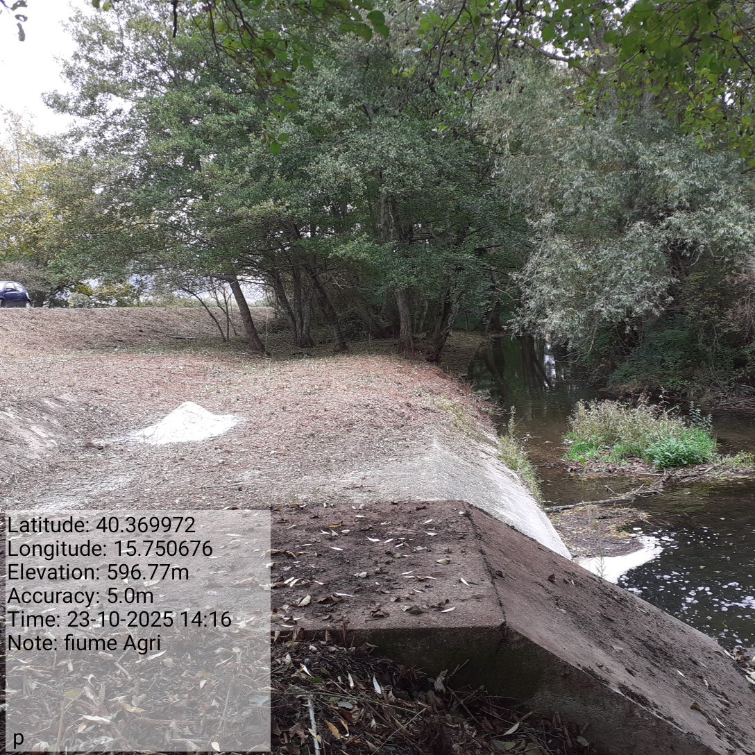 Galleria Fotografica Immagine