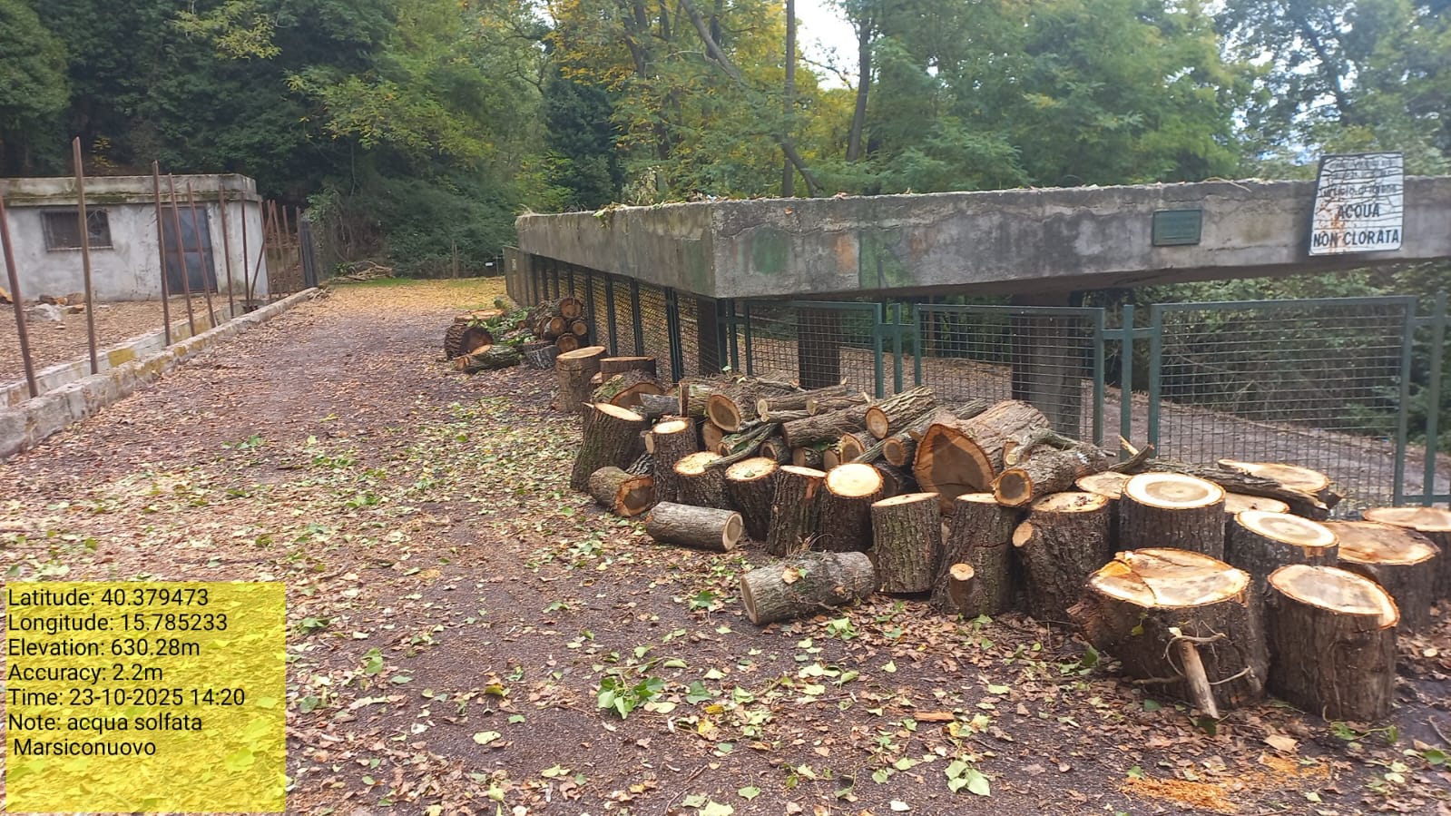 Galleria Fotografica Immagine