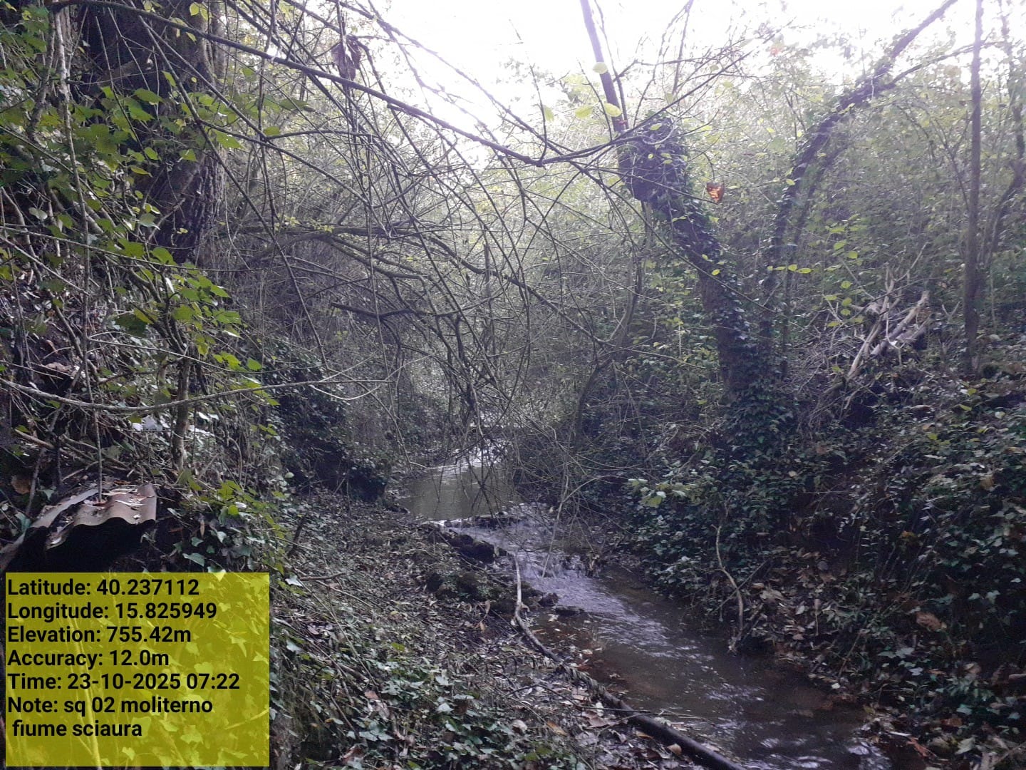 Galleria Fotografica Immagine