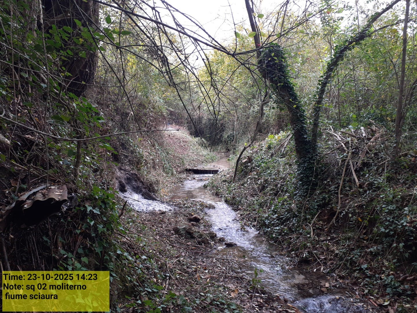 Galleria Fotografica Immagine