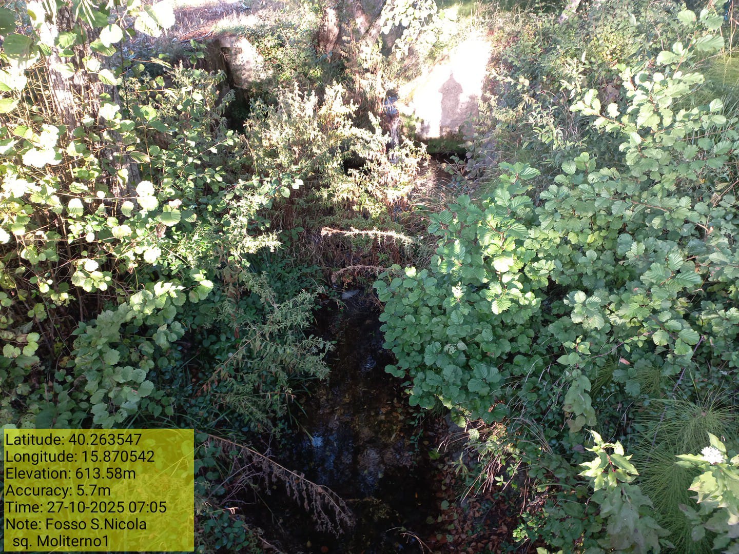 Galleria Fotografica Immagine