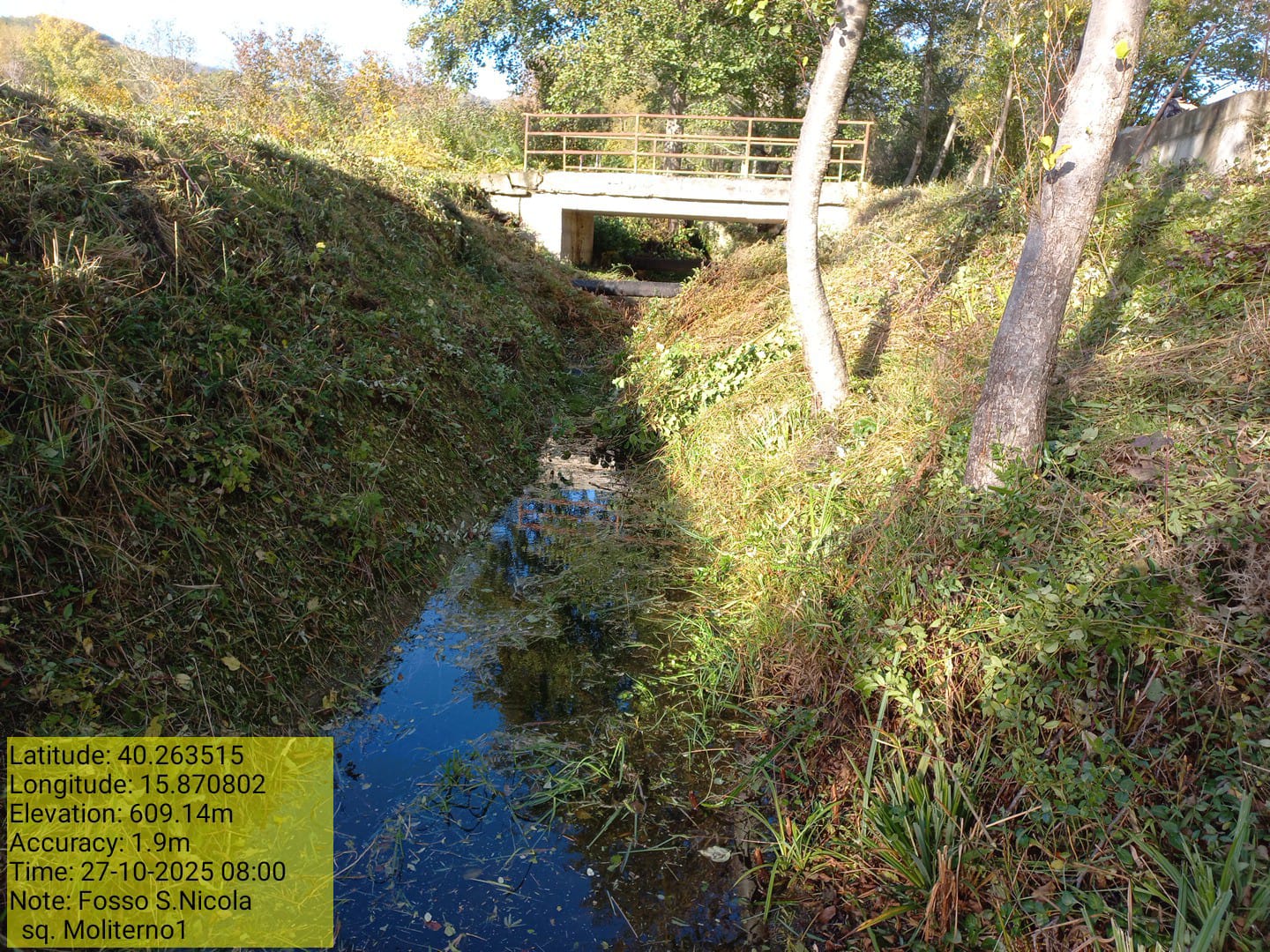 Galleria Fotografica Immagine