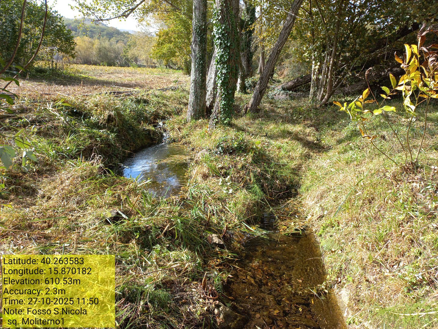 Galleria Fotografica Immagine