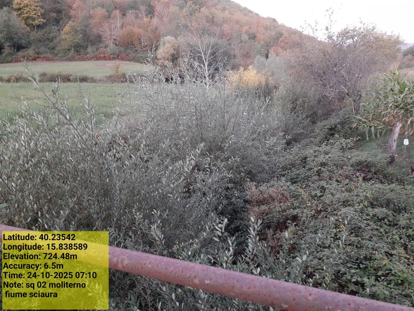 Galleria Fotografica Immagine