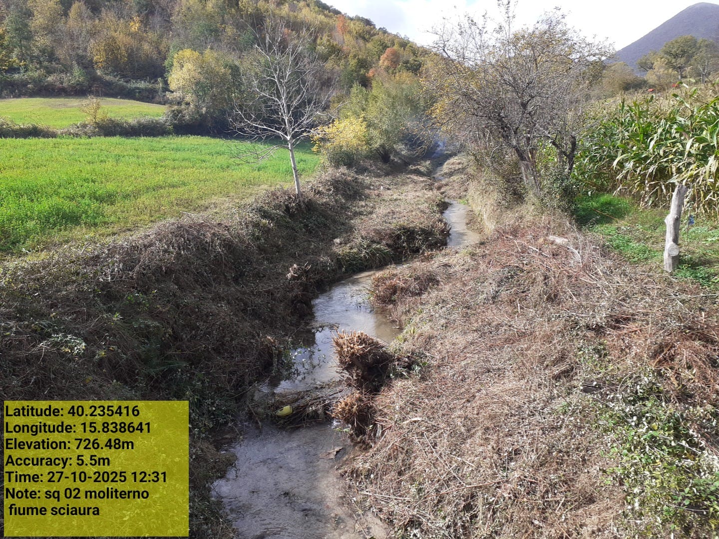 Galleria Fotografica Immagine