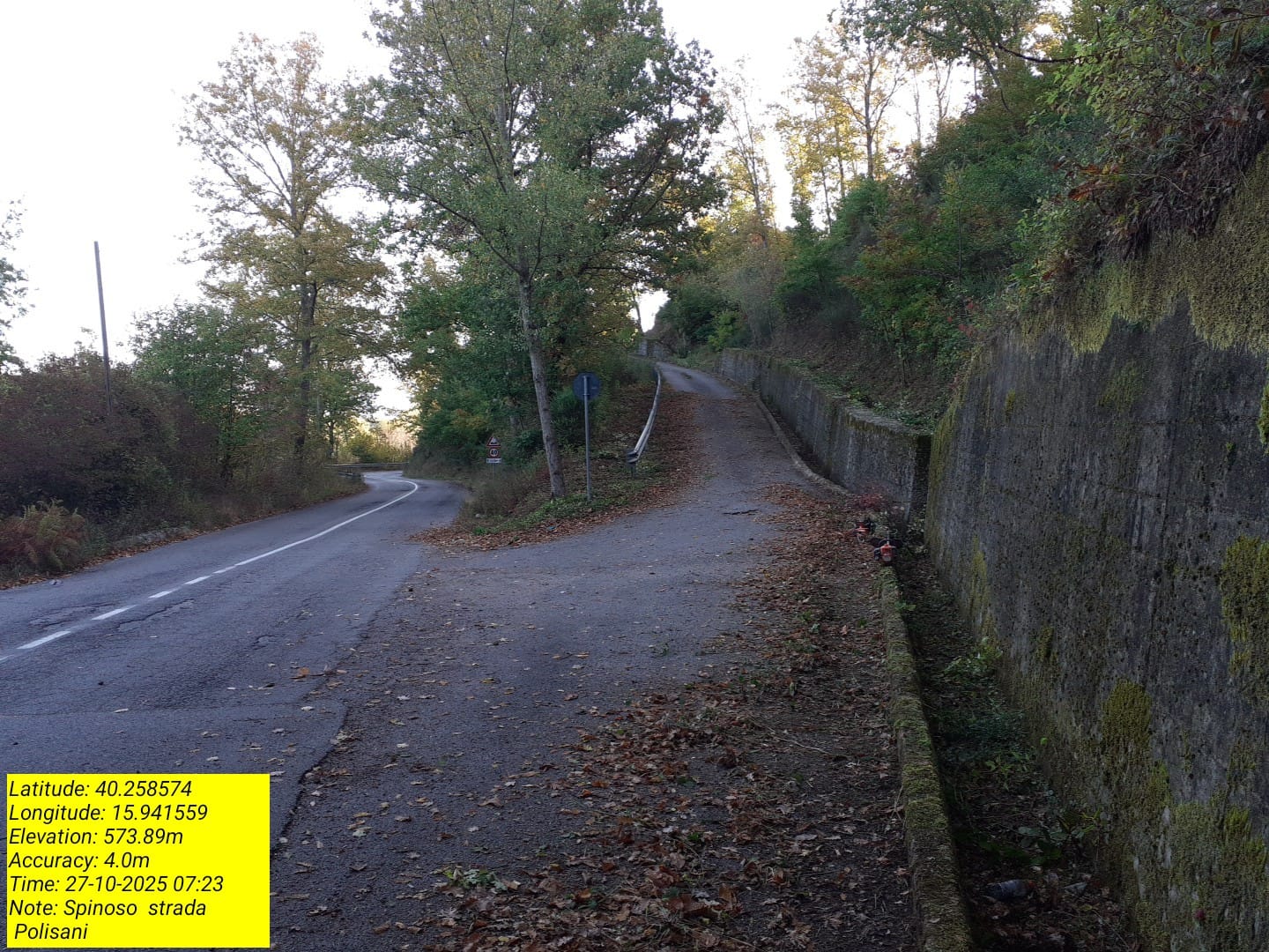 Galleria Fotografica Immagine