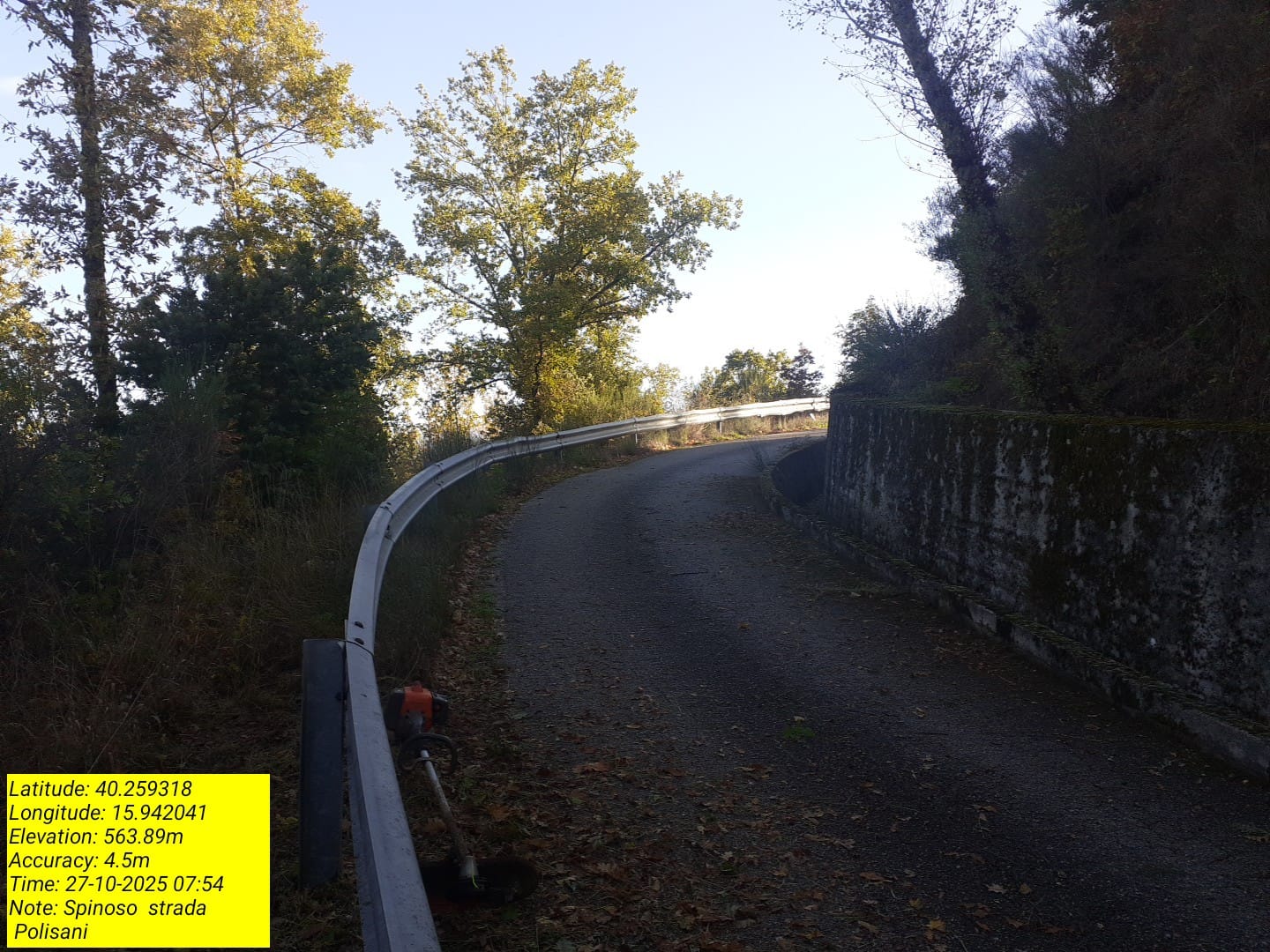 Galleria Fotografica Immagine