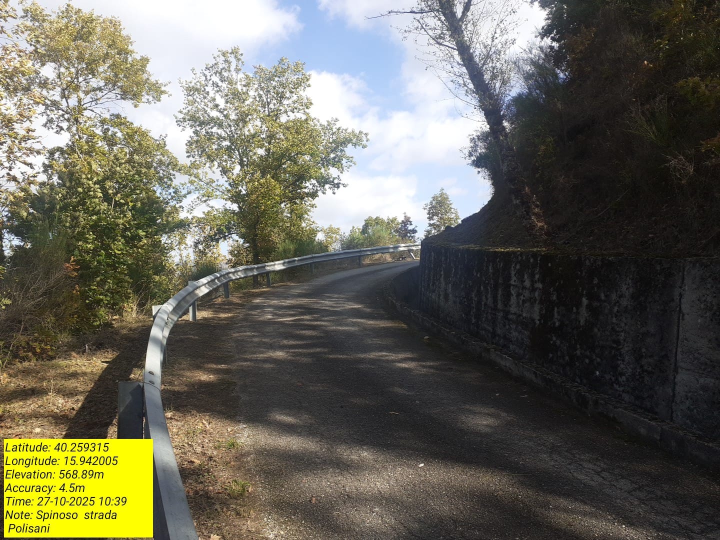 Galleria Fotografica Immagine