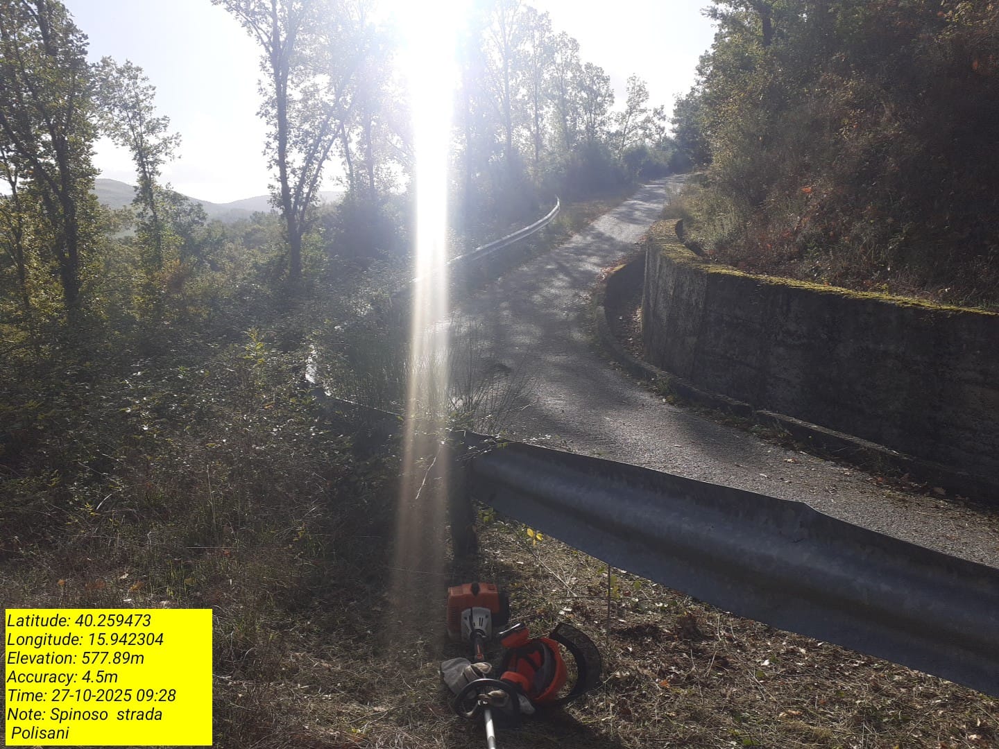 Galleria Fotografica Immagine