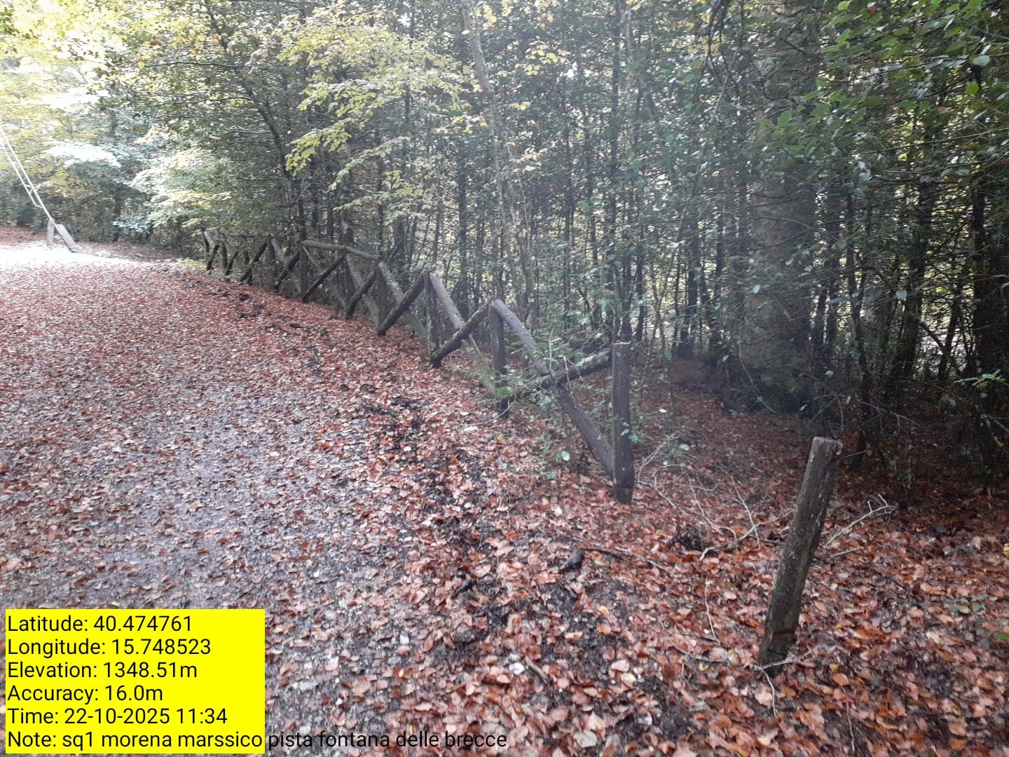 Galleria Fotografica Immagine