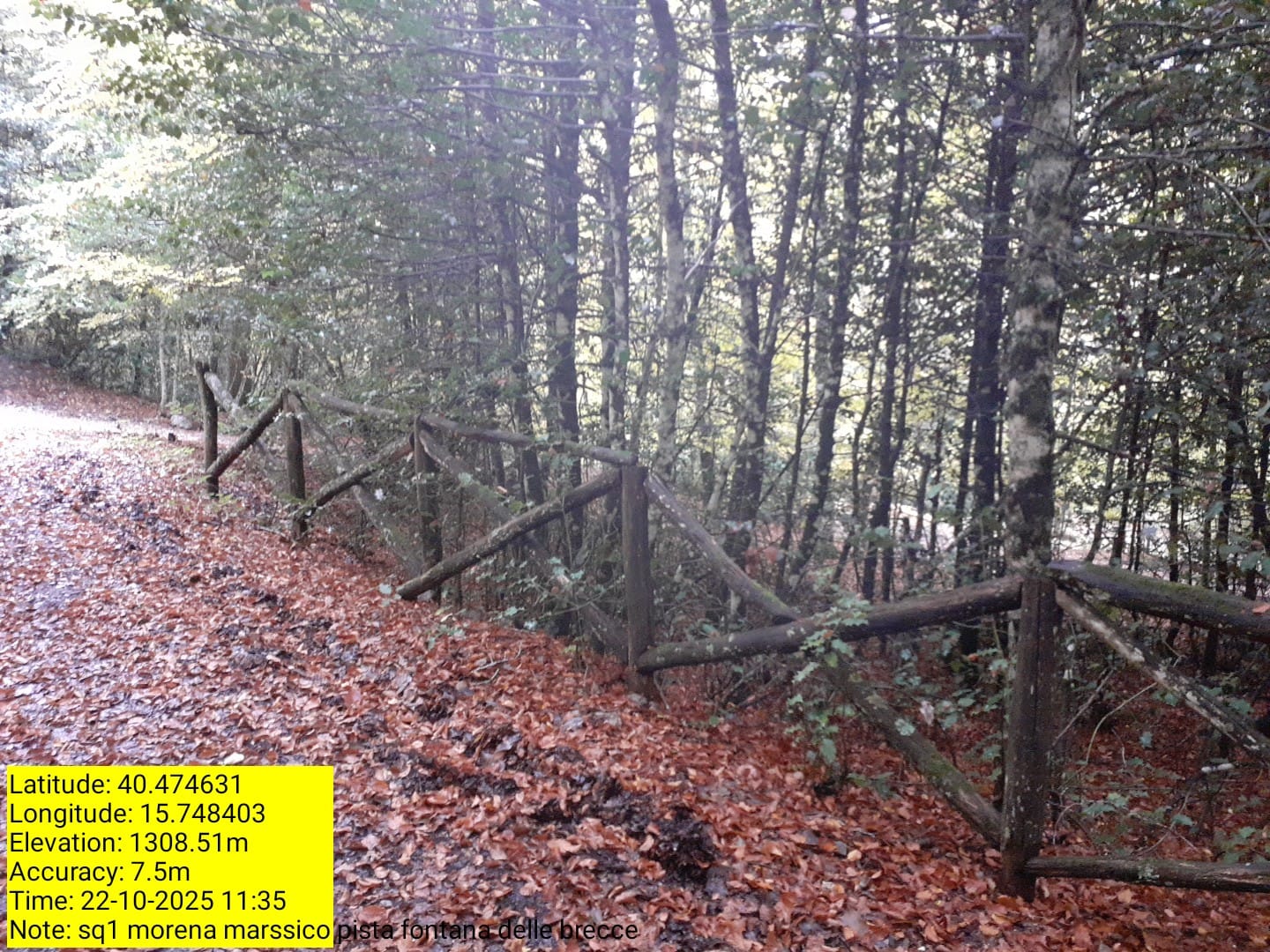 Galleria Fotografica Immagine