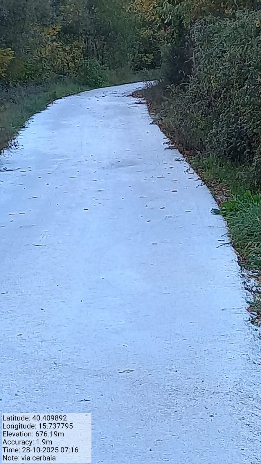 Galleria Fotografica Immagine