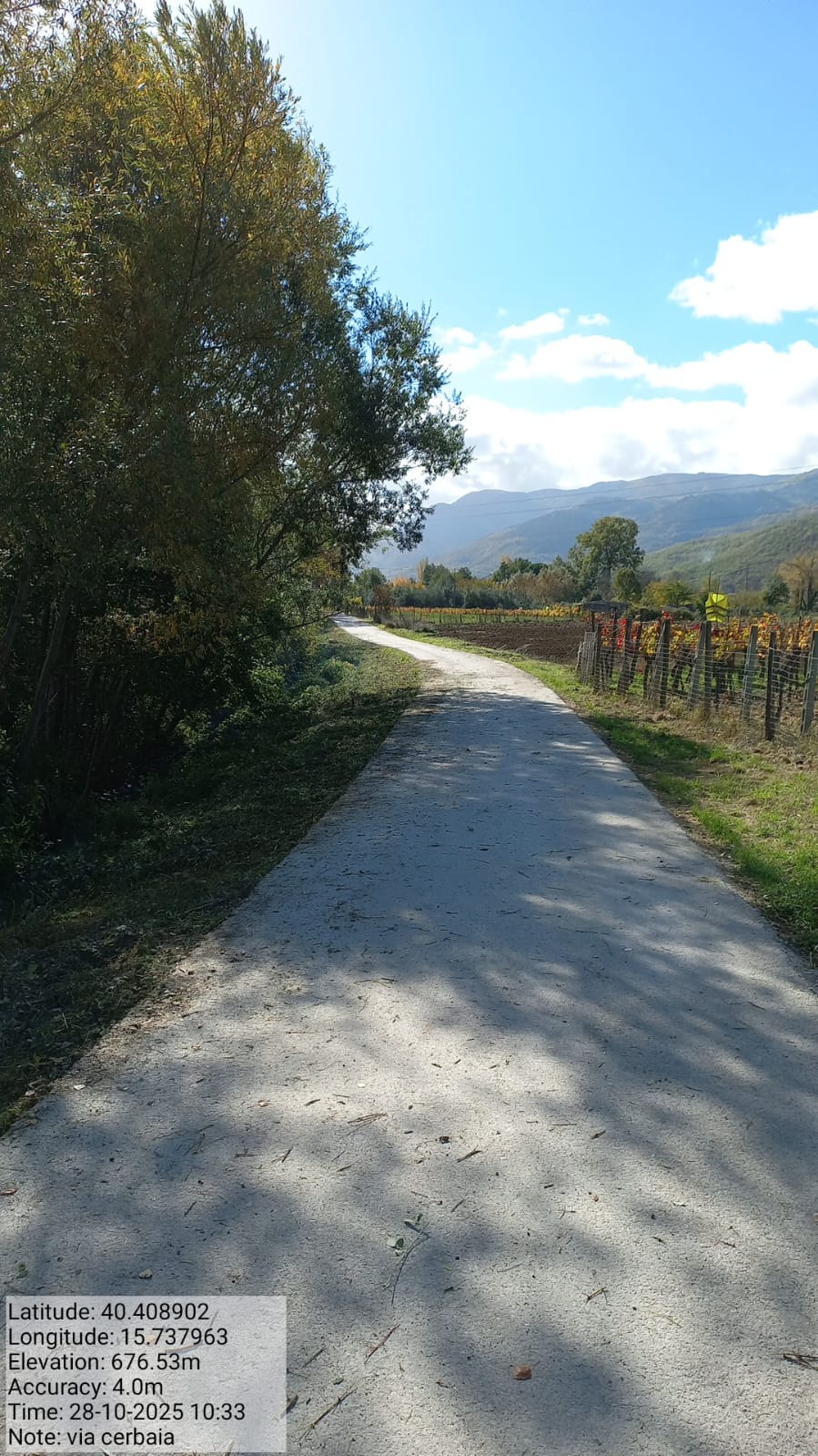 Galleria Fotografica Immagine