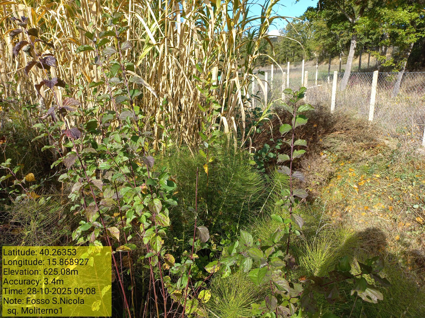 Galleria Fotografica Immagine