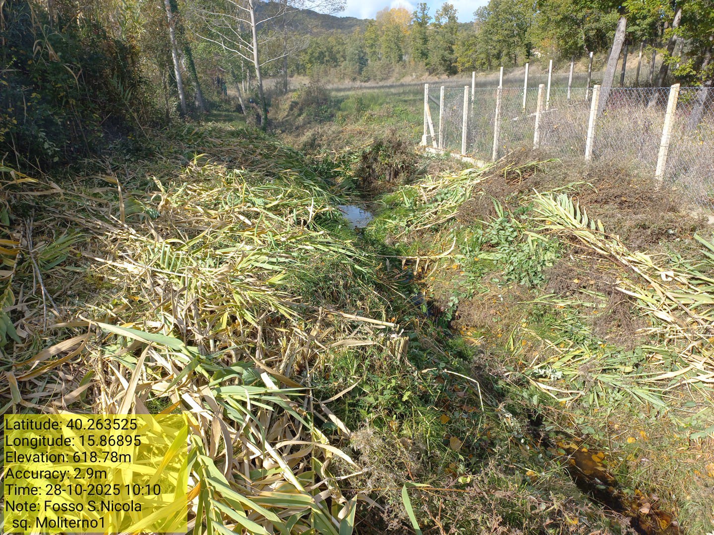 Galleria Fotografica Immagine