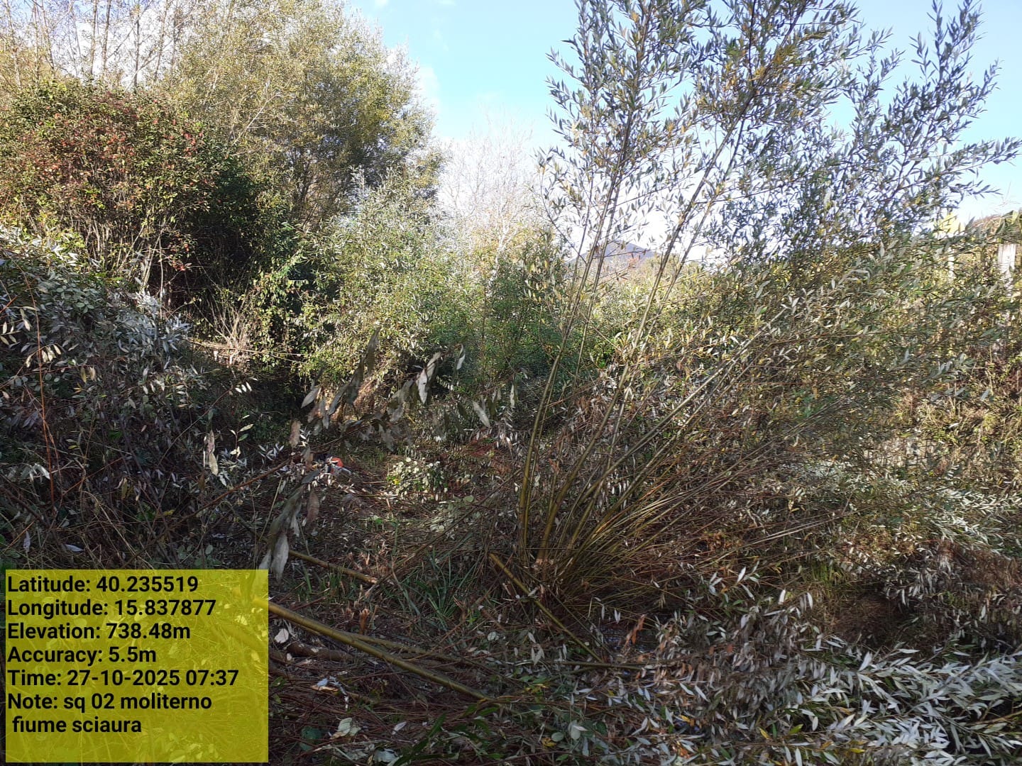 Galleria Fotografica Immagine