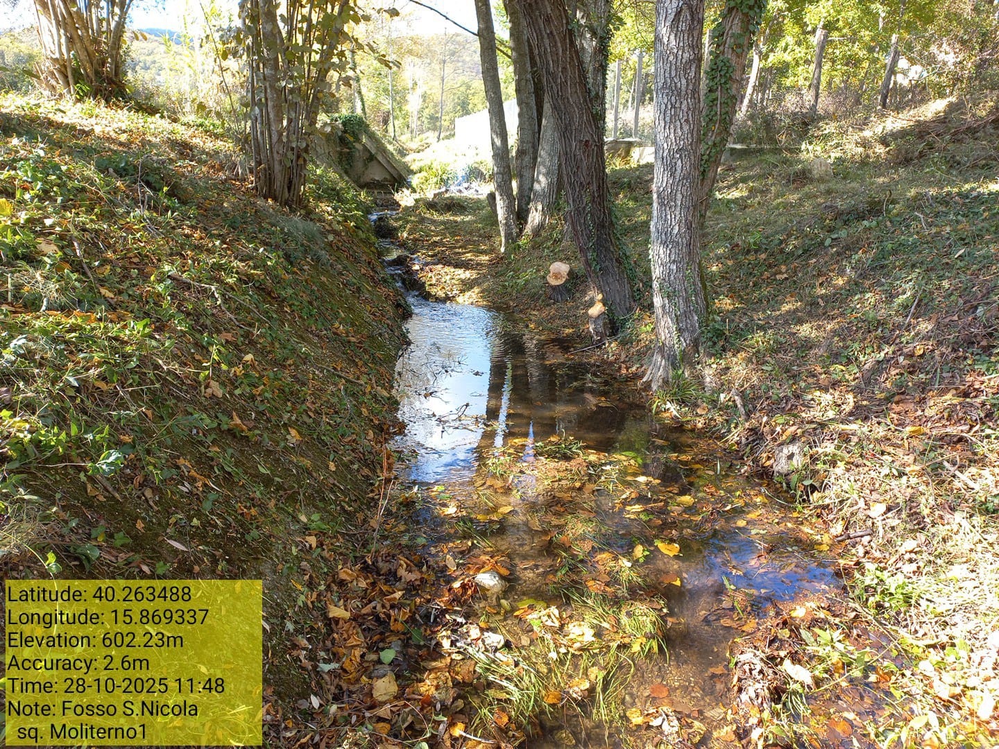 Galleria Fotografica Immagine