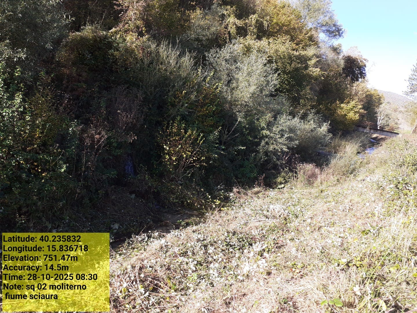 Galleria Fotografica Immagine