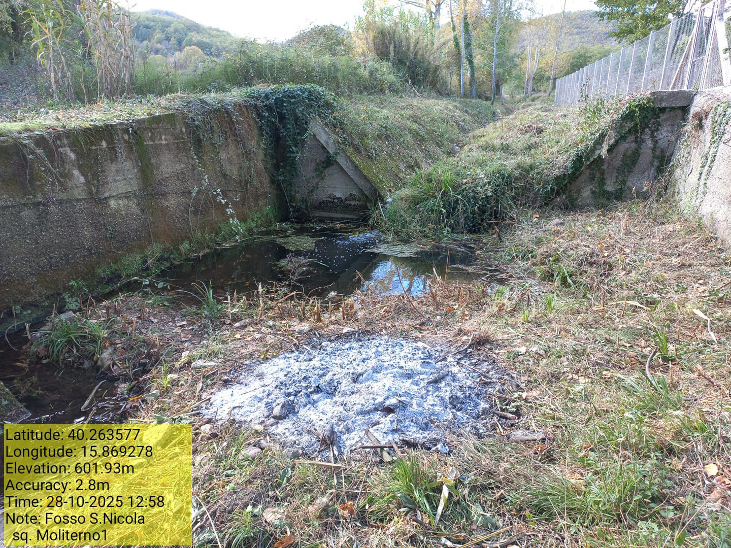 Galleria Fotografica Immagine