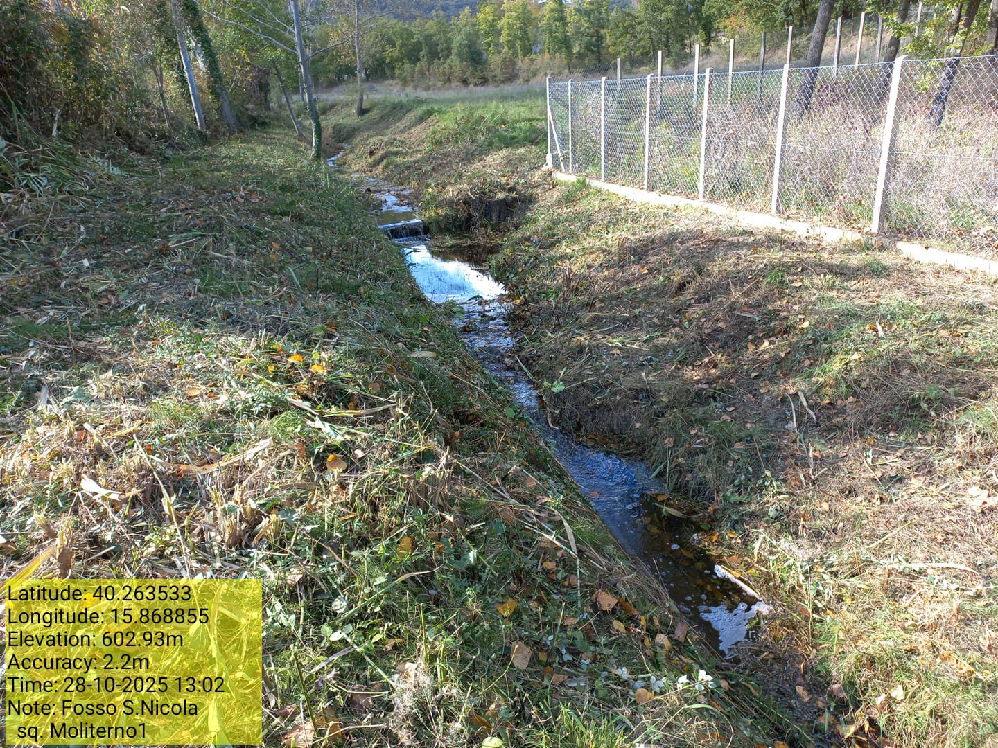 Galleria Fotografica Immagine