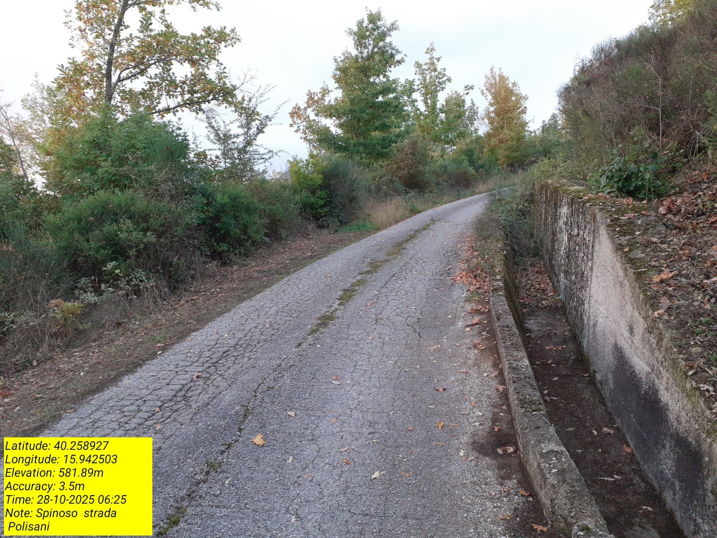 Galleria Fotografica Immagine