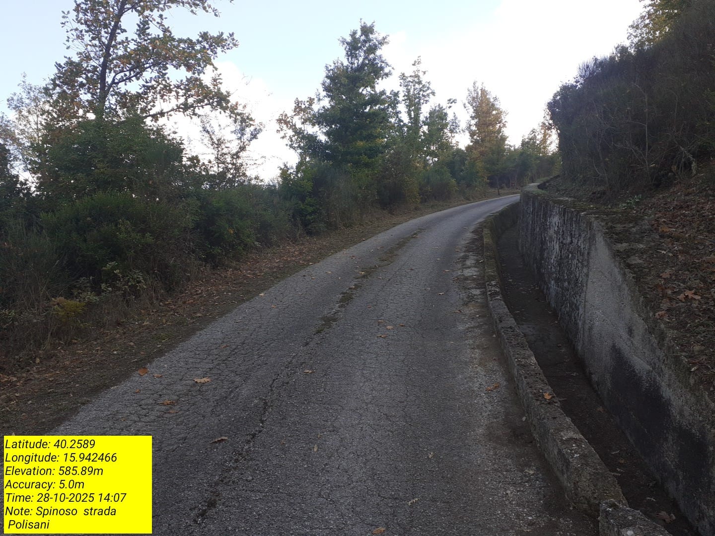 Galleria Fotografica Immagine