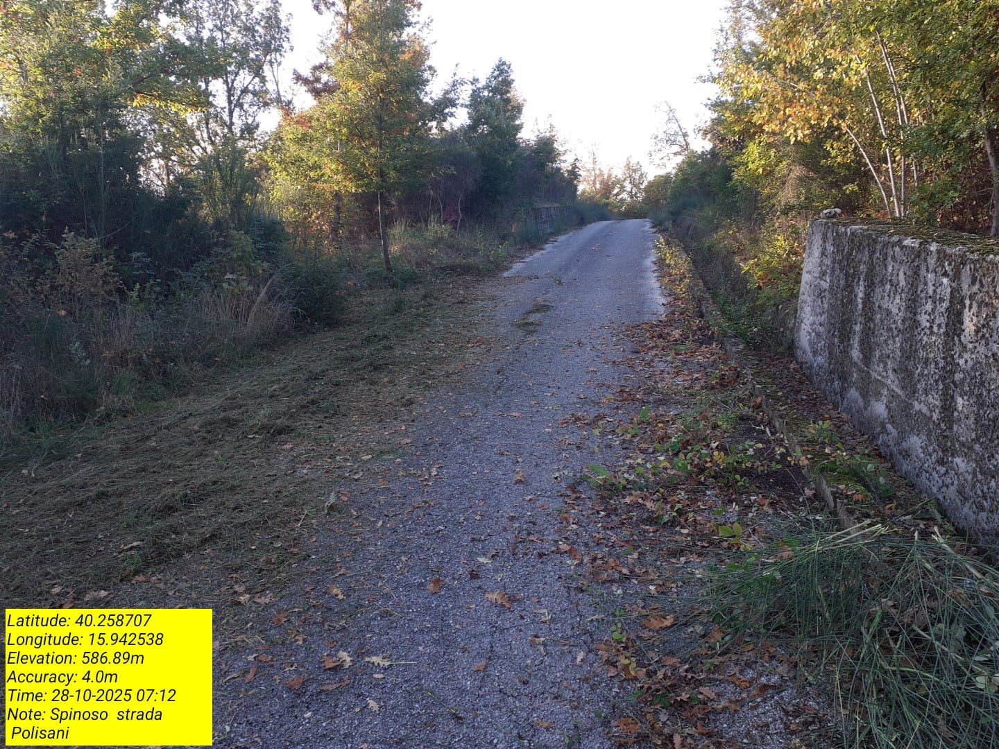 Galleria Fotografica Immagine