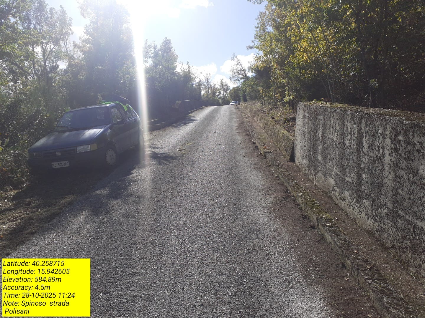 Galleria Fotografica Immagine