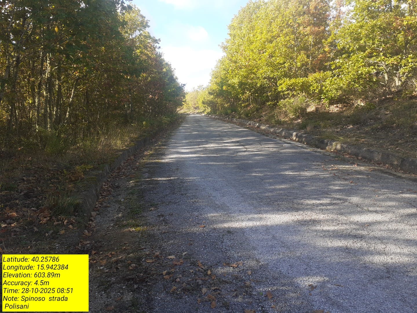 Galleria Fotografica Immagine