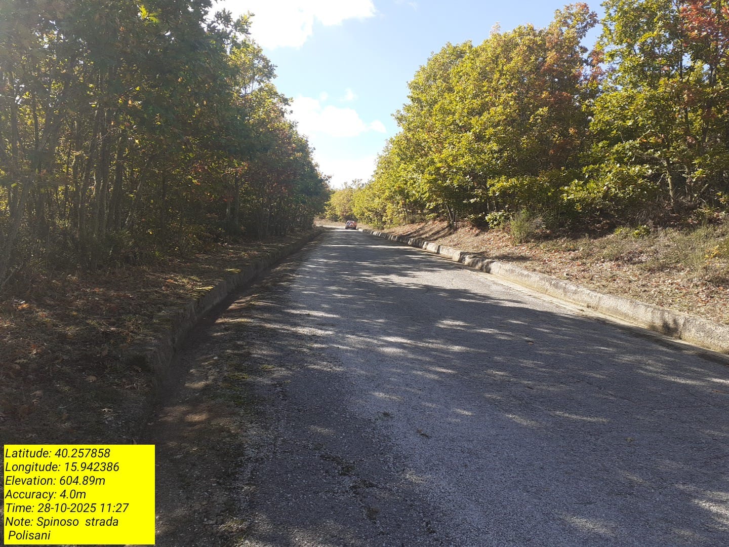 Galleria Fotografica Immagine