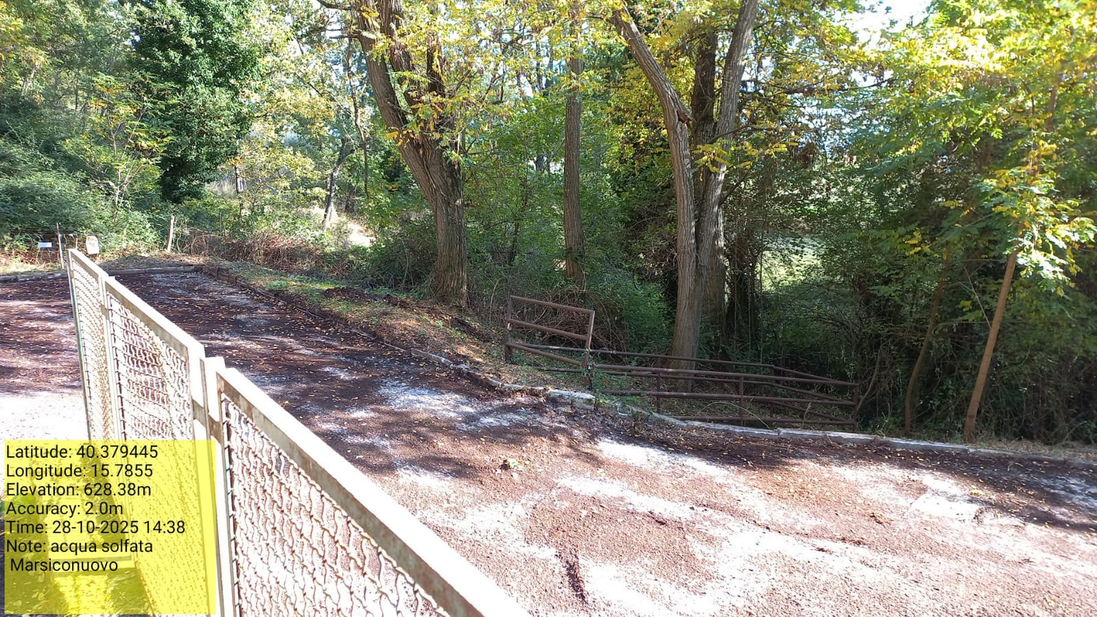 Galleria Fotografica Immagine