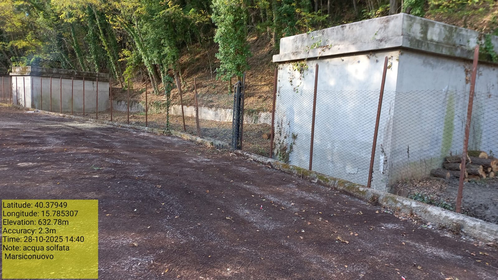 Galleria Fotografica Immagine