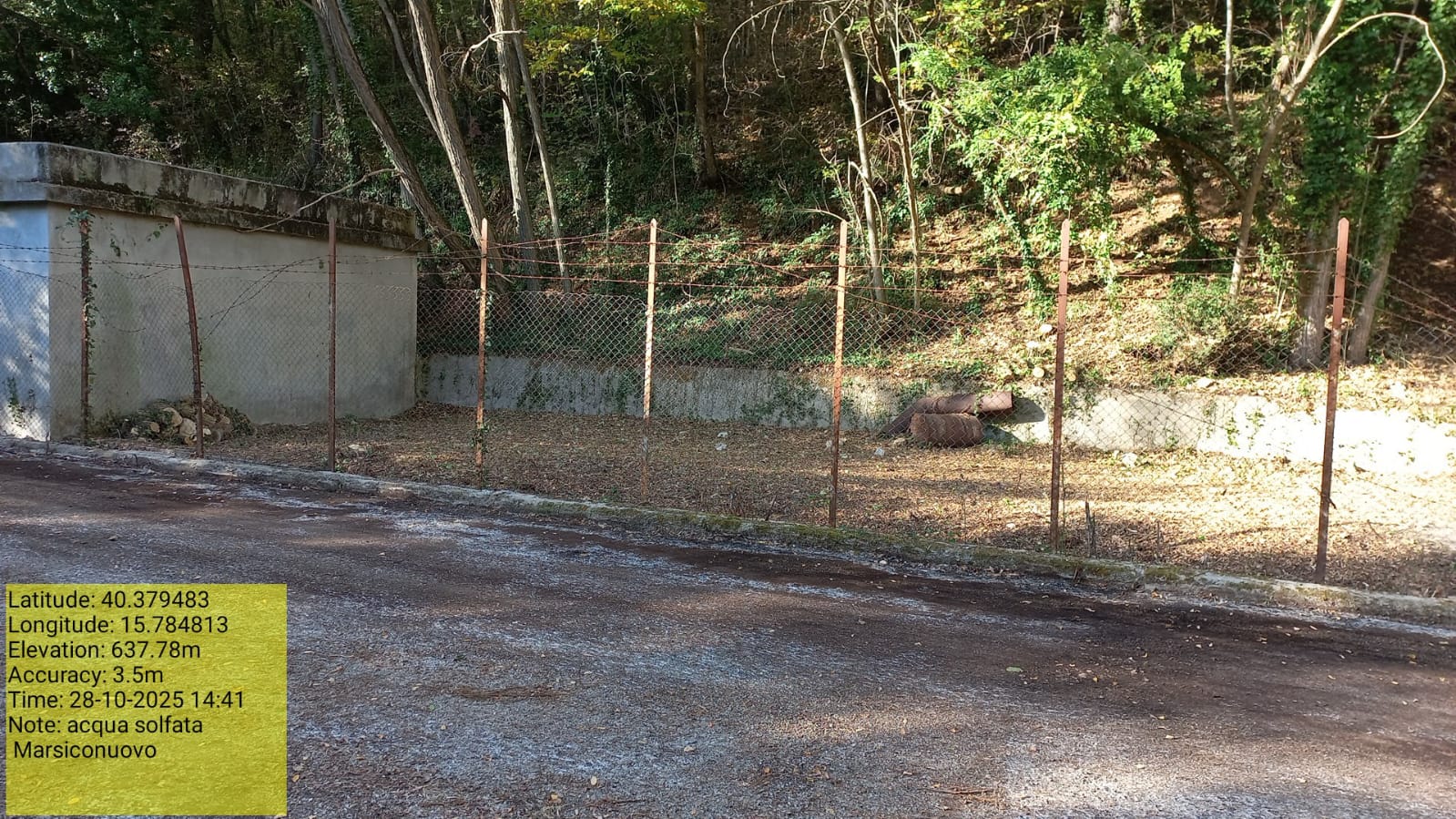 Galleria Fotografica Immagine