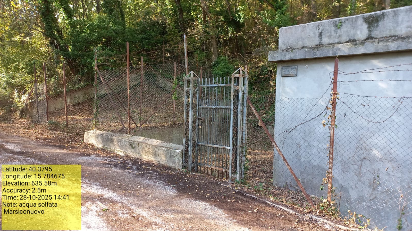 Galleria Fotografica Immagine