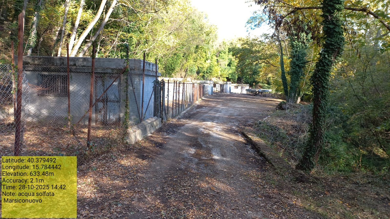 Galleria Fotografica Immagine