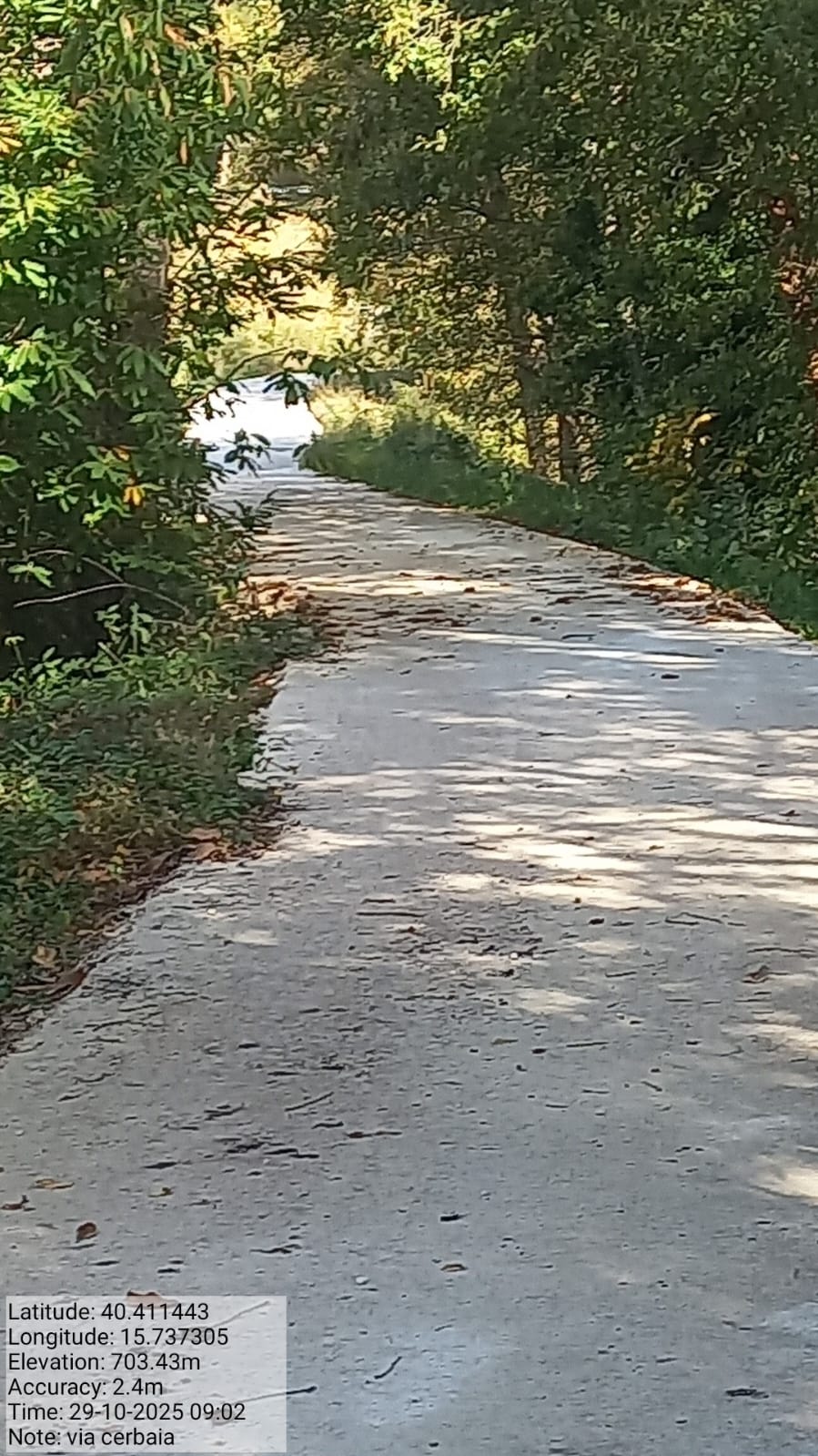 Galleria Fotografica Immagine