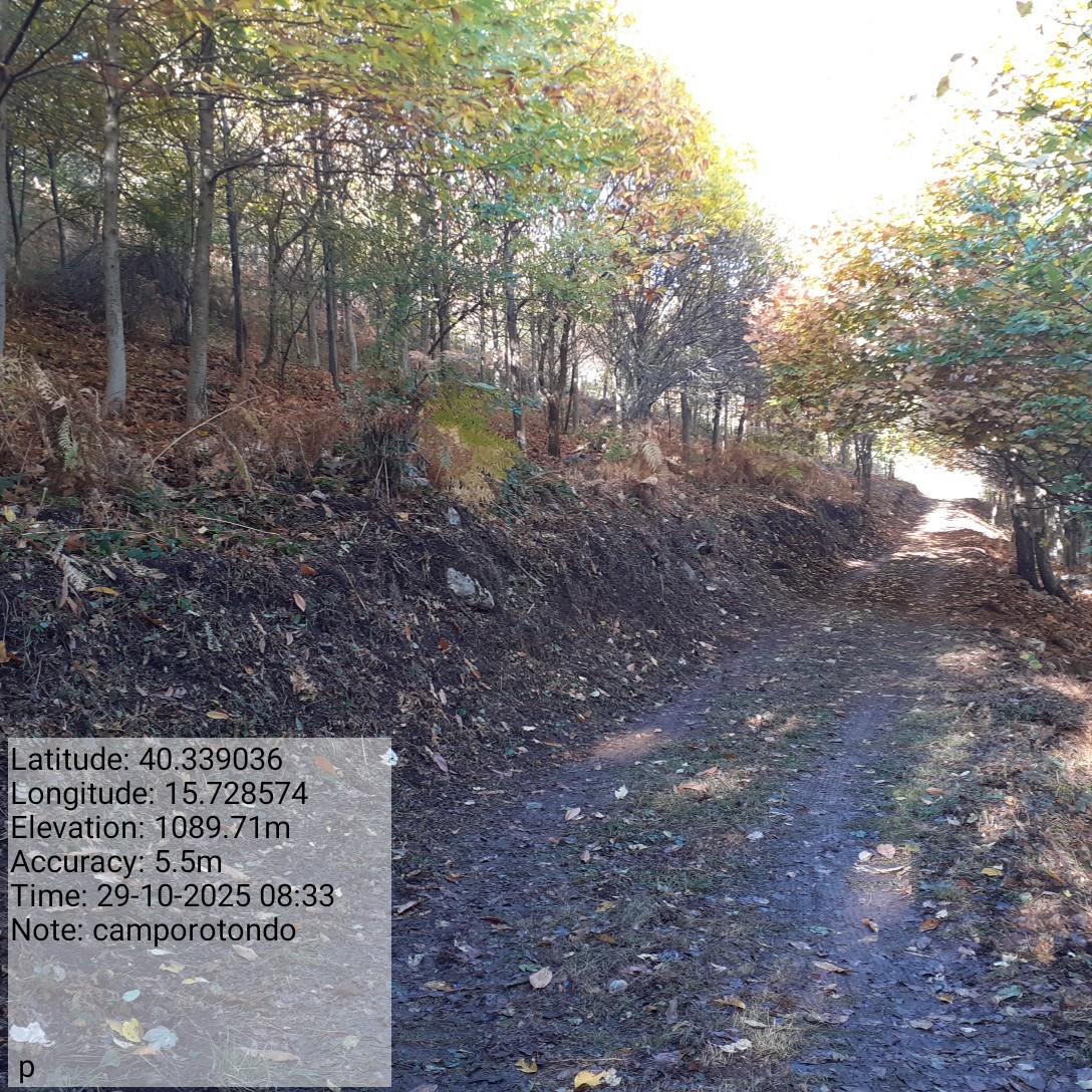 Galleria Fotografica Immagine