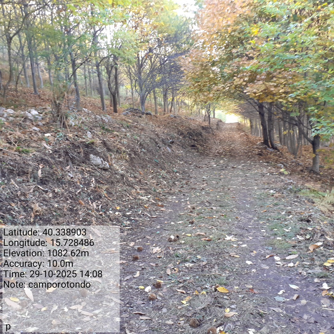 Galleria Fotografica Immagine