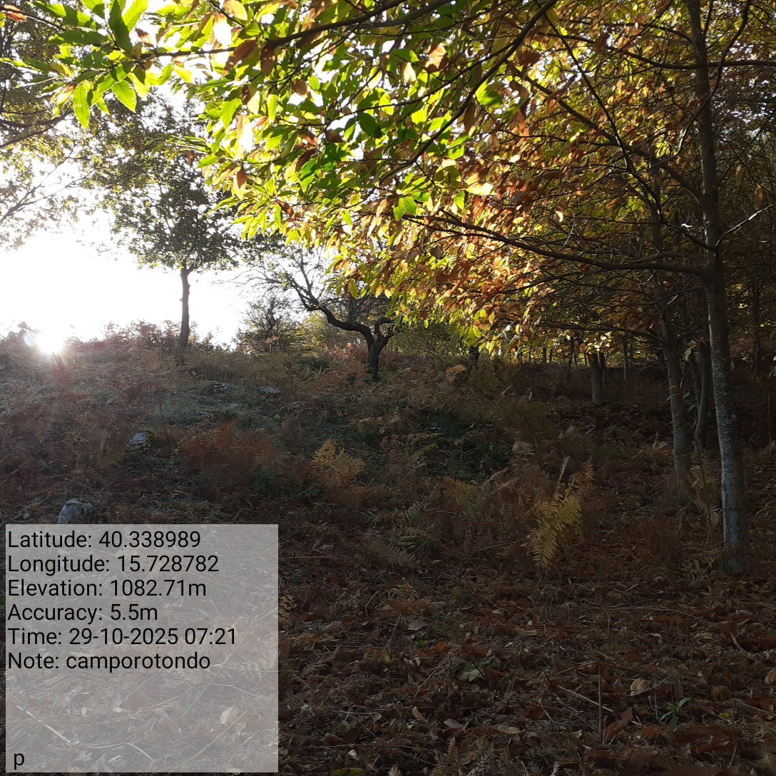 Galleria Fotografica Immagine