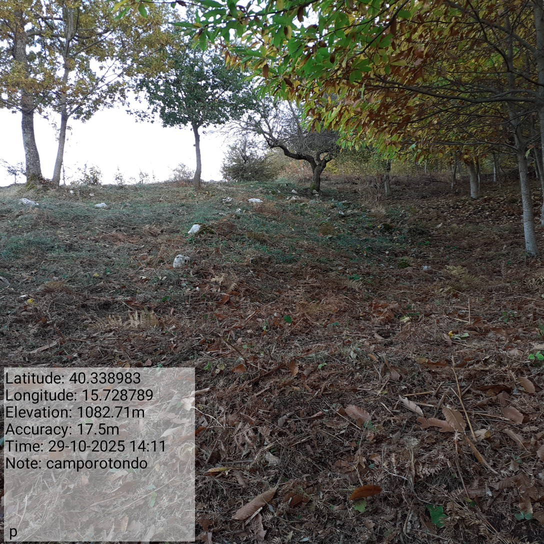 Galleria Fotografica Immagine