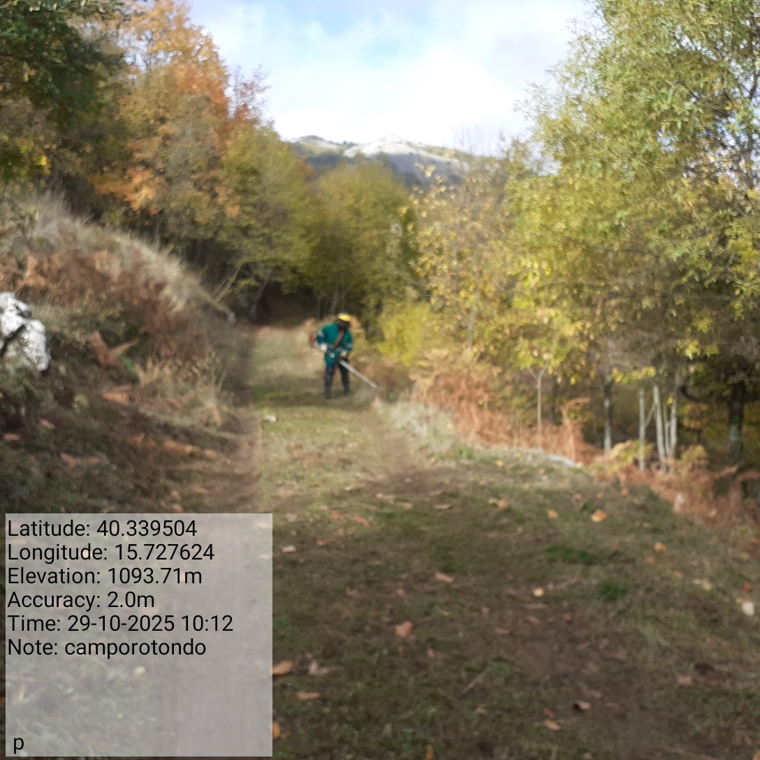 Galleria Fotografica Immagine