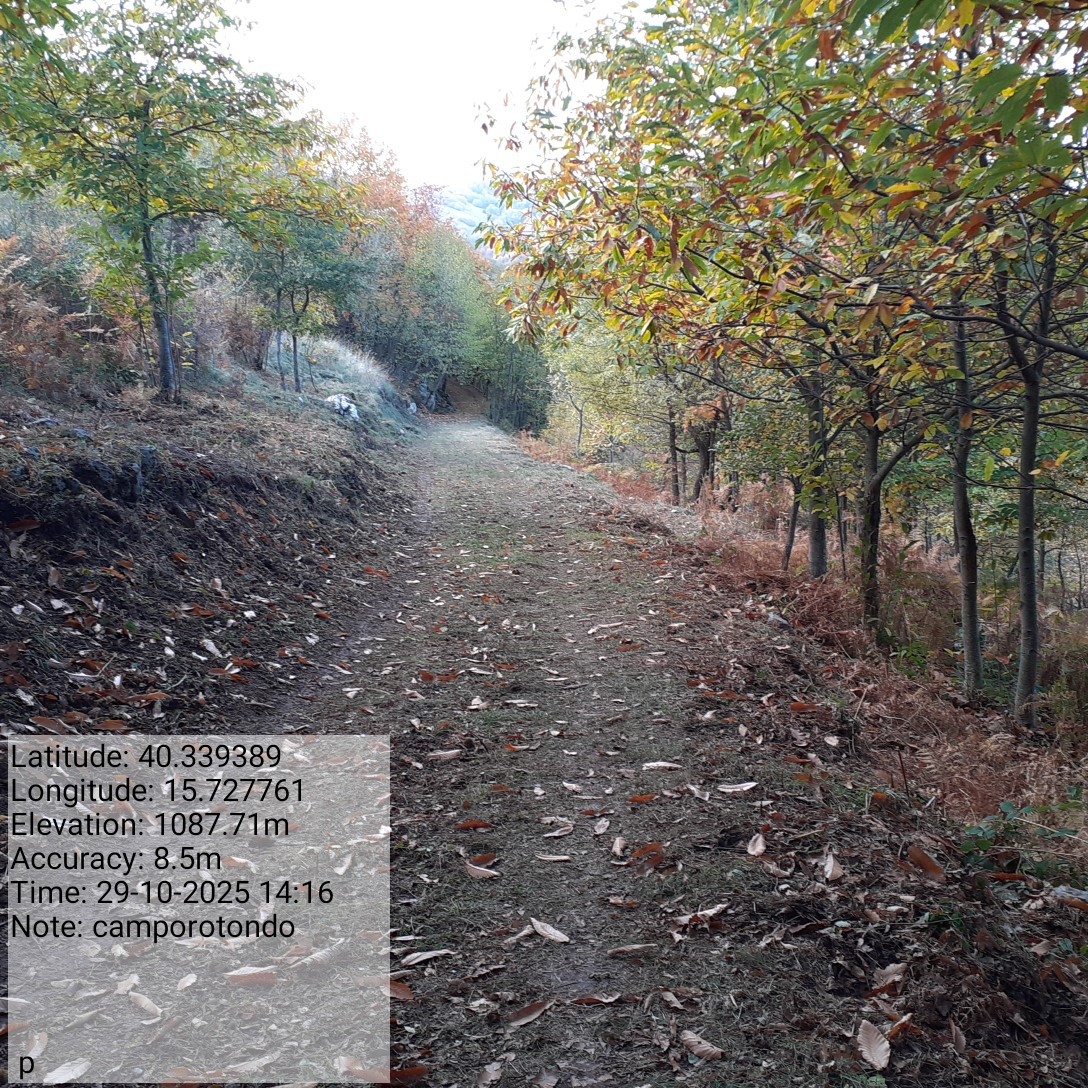 Galleria Fotografica Immagine