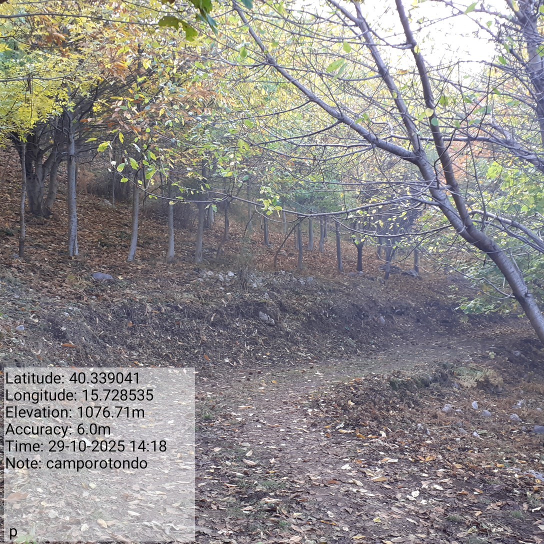 Galleria Fotografica Immagine