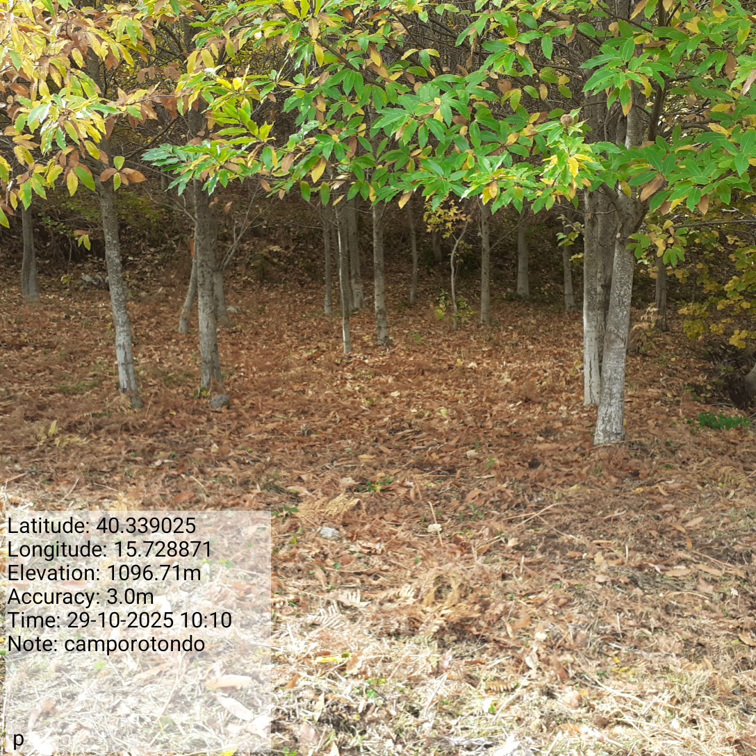 Galleria Fotografica Immagine