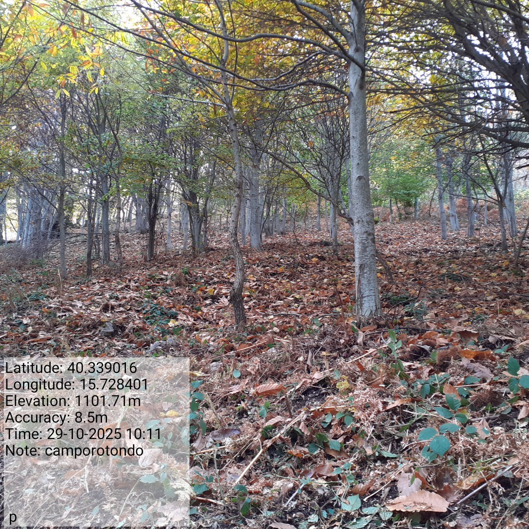 Galleria Fotografica Immagine