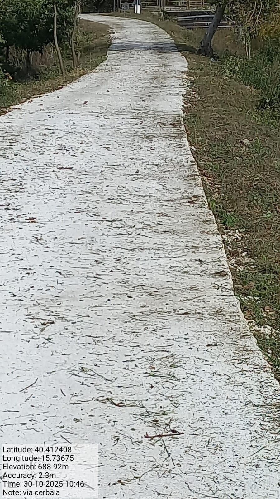 Galleria Fotografica Immagine