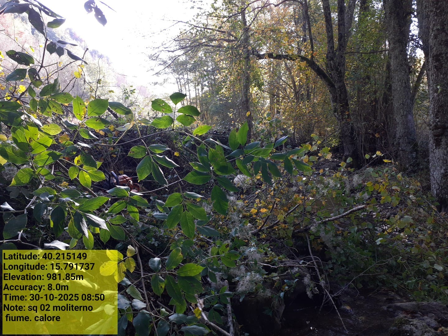 Galleria Fotografica Immagine