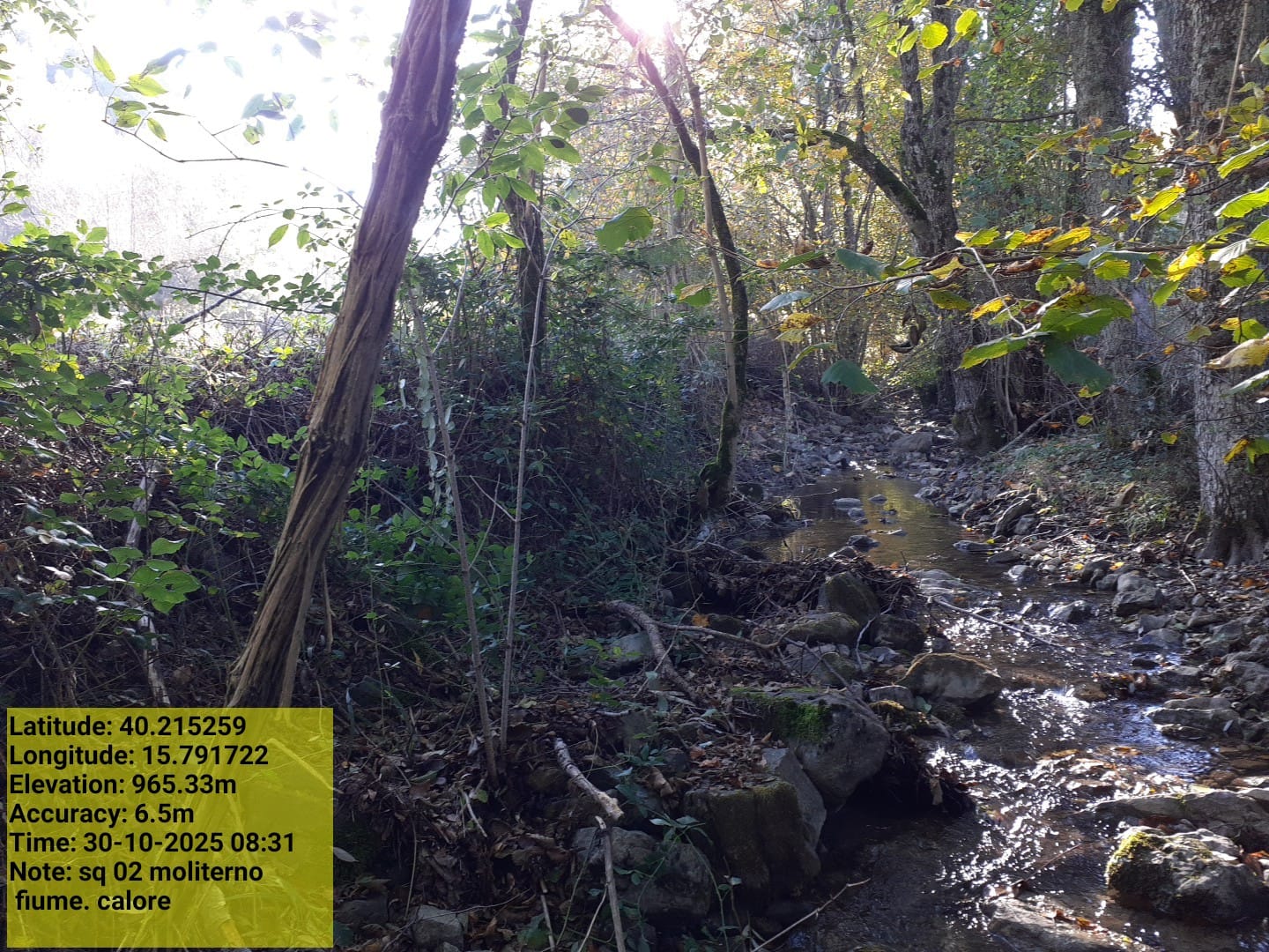 Galleria Fotografica Immagine